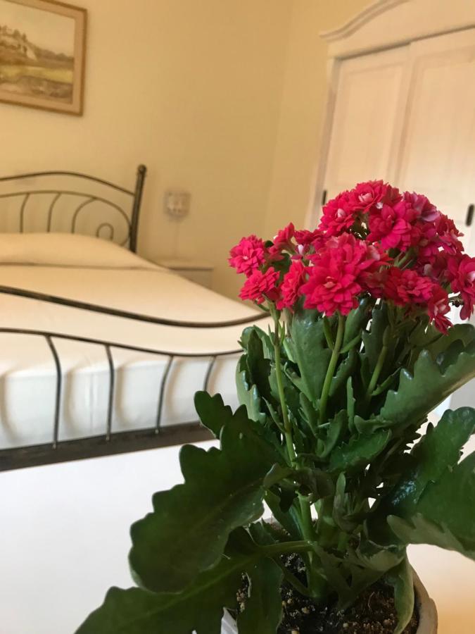 Domo Antiga Guest Rooms Sorso Ngoại thất bức ảnh