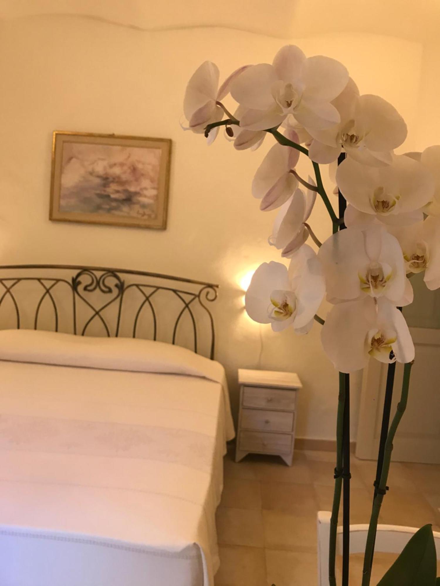 Domo Antiga Guest Rooms Sorso Ngoại thất bức ảnh